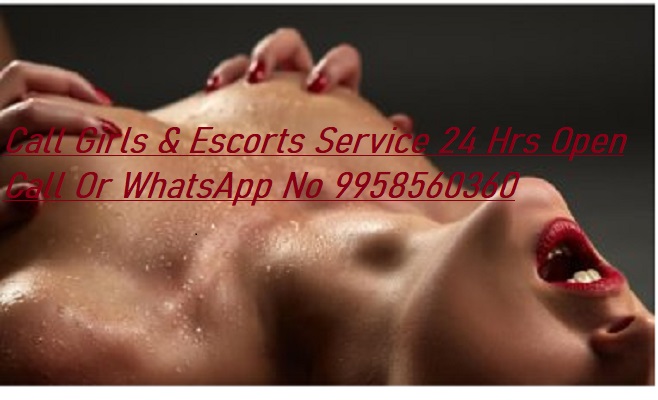 Best Call Girls in Hoshiyarpur Sector 51 (+91-9958560360) Escorts Service Noida